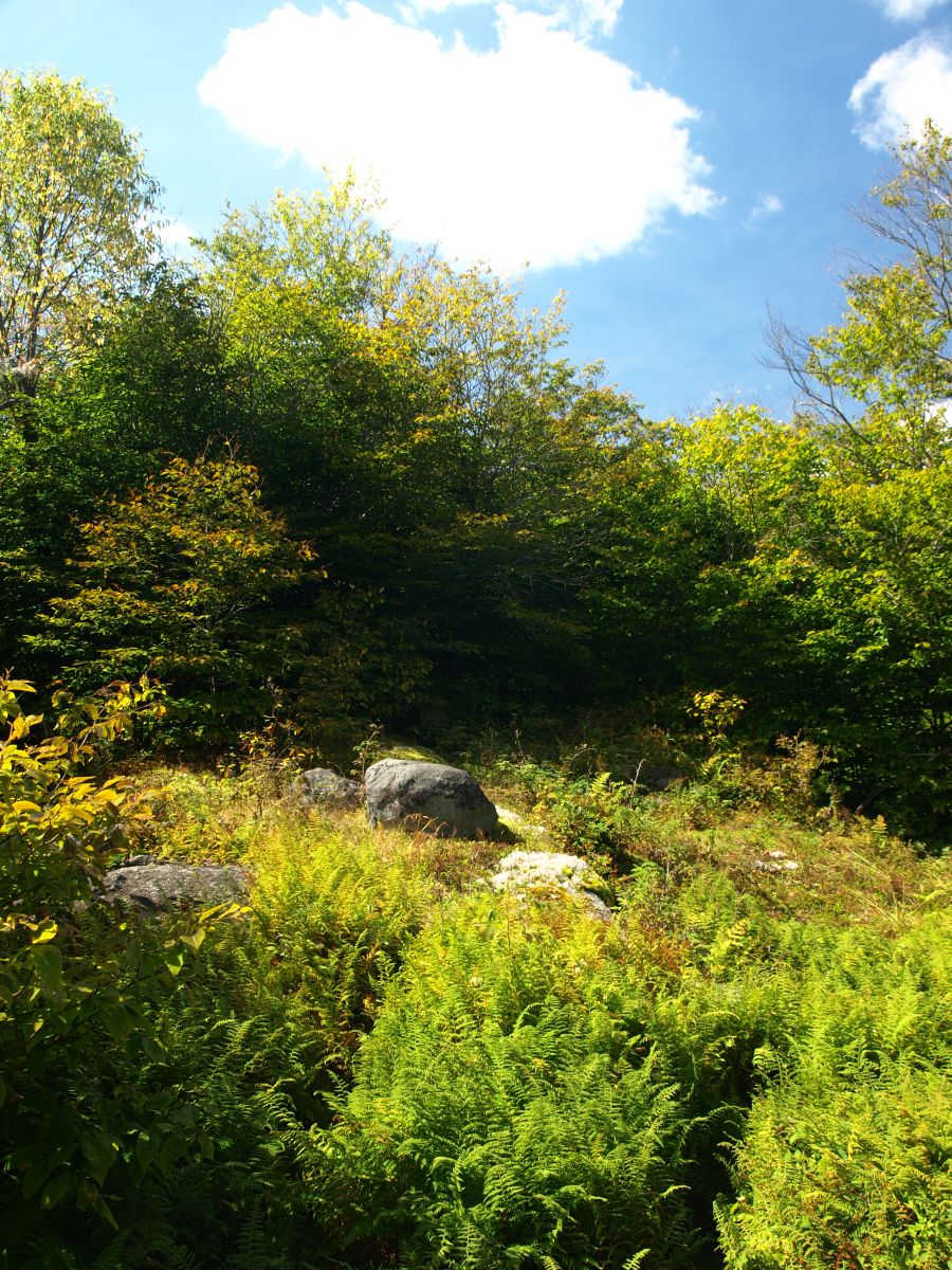 Open areas like this awarded a welcoming value