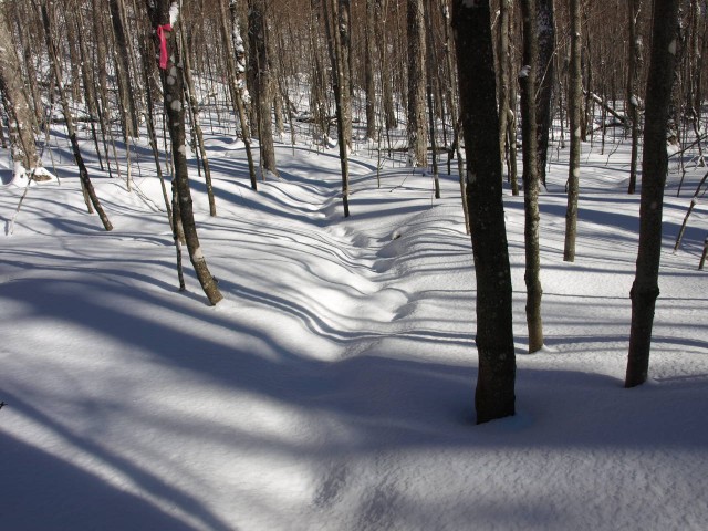 Trail