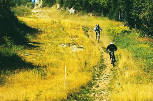 photo: downhillmike.com