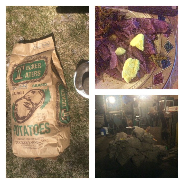 Last year's crop of Magic Molly: (left) in the bag, (upper right) out of the crockpot with butter, (lower right) the cave of potato goodness Last year's crop of Magic Molly: (left) in the bag, (upper right) out of the crockpot with butter, (lower right) the cave of potato goodness