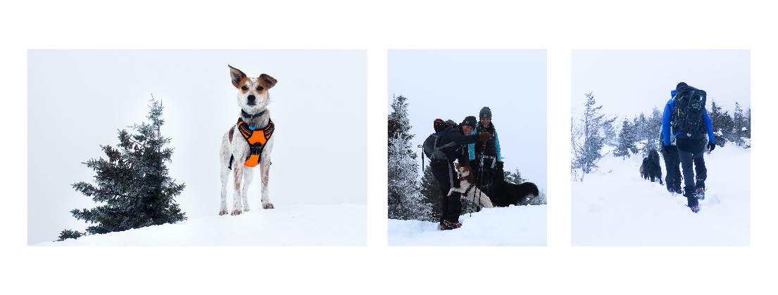 We hiked and hiked, and before we knew it we were as high as the clouds!