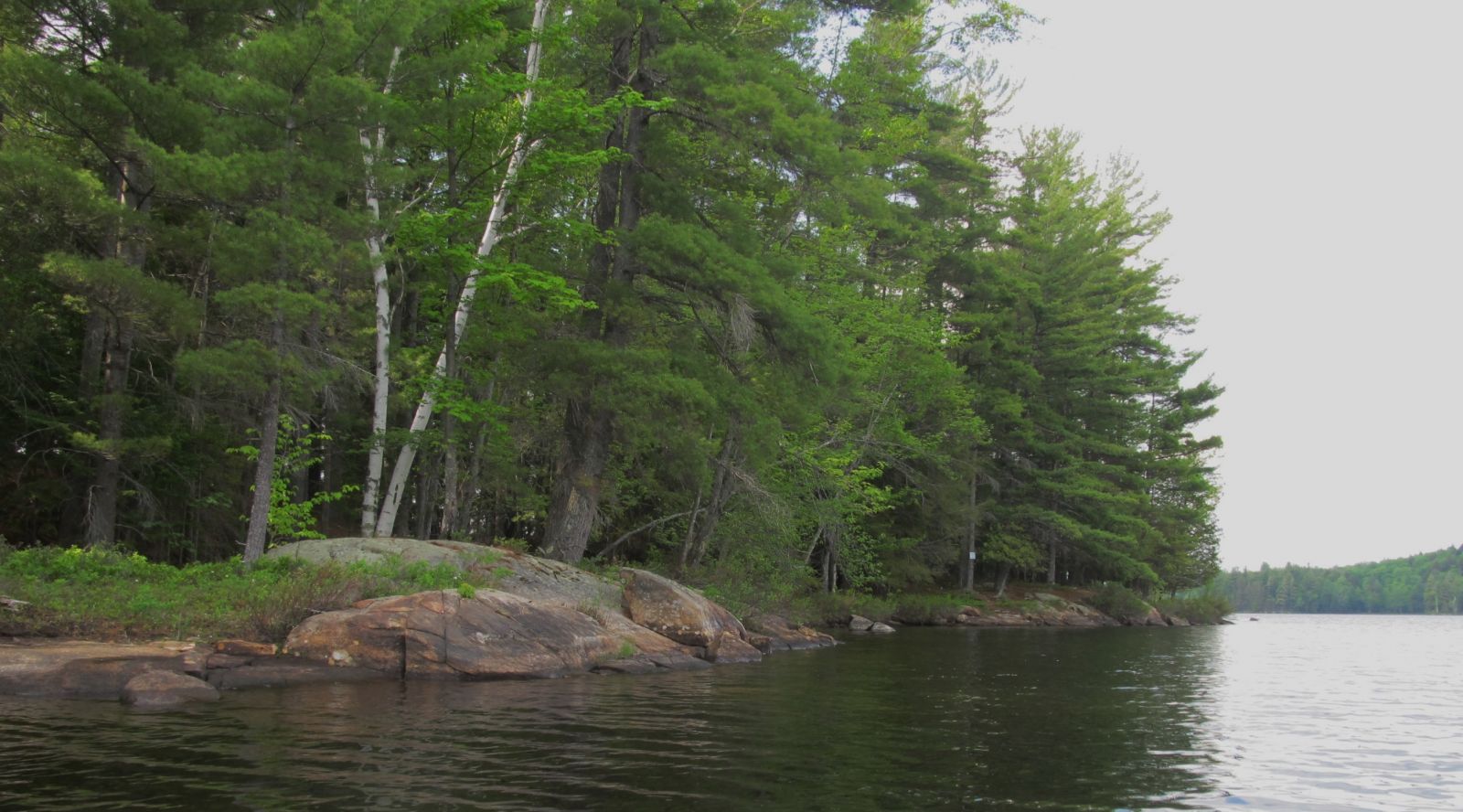 The island shoreline.