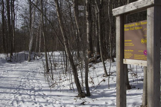 The Trailhead