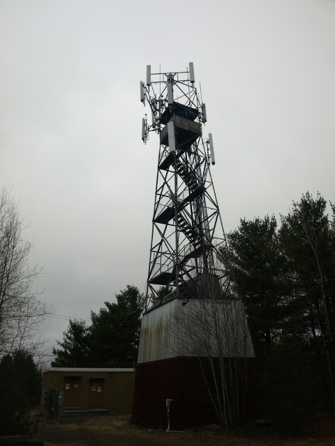 Palmer Tower