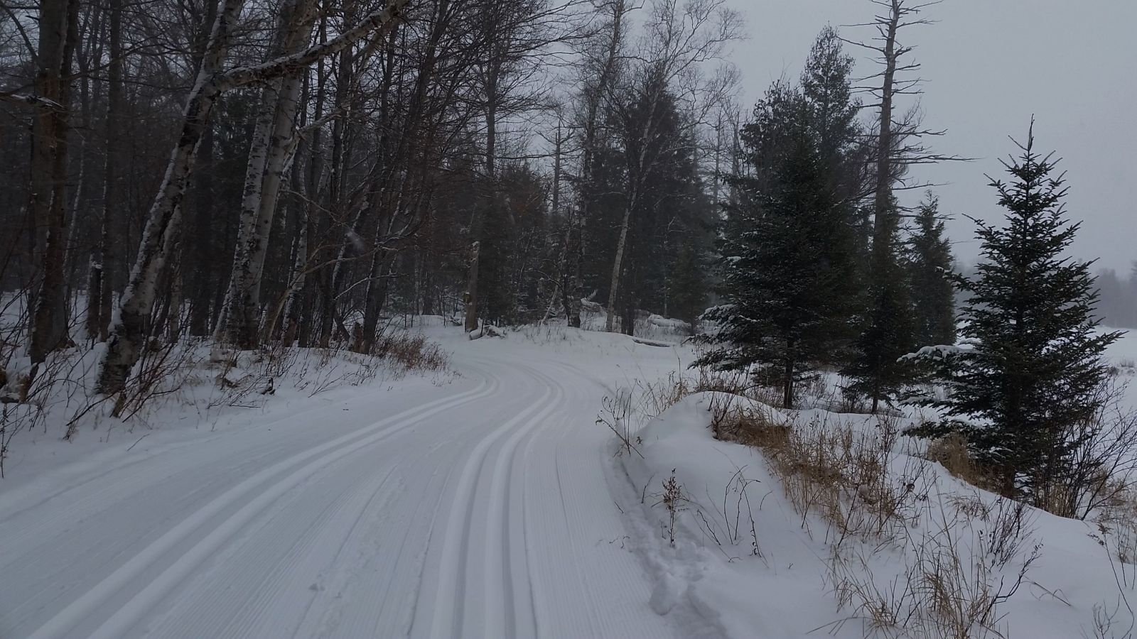 Love the tracks on this trail!
