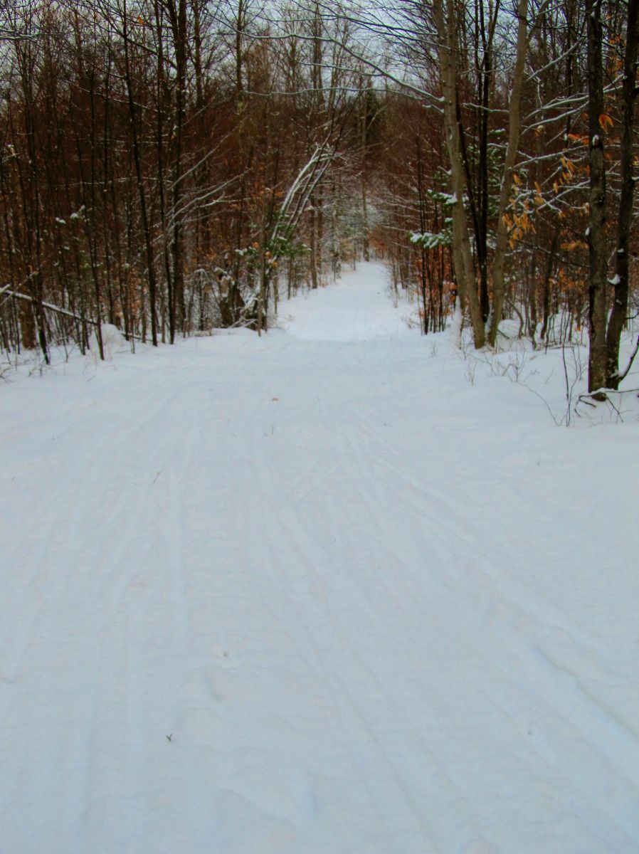 The hill
