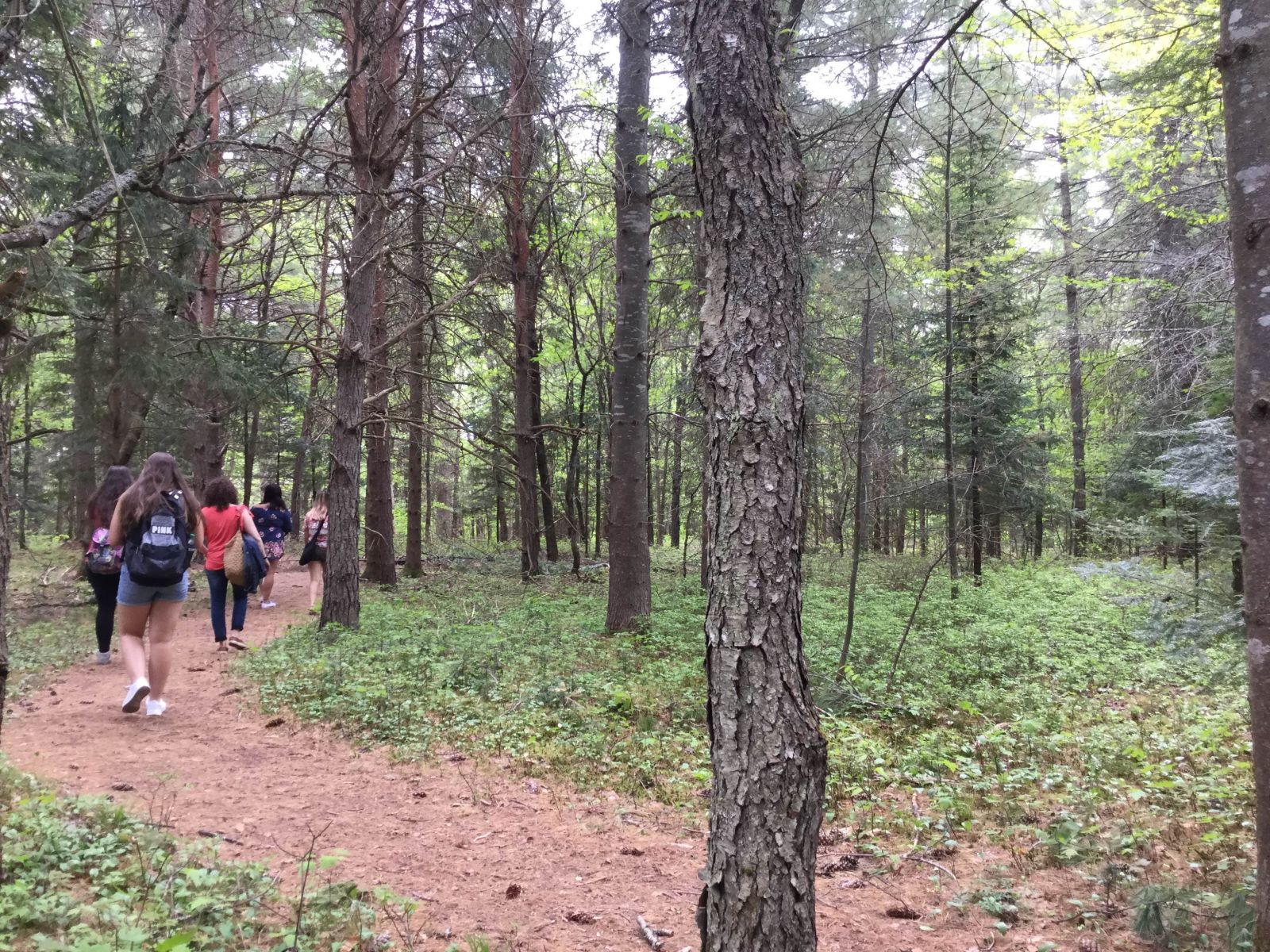 Broad, smooth paths make for easy hiking and access.