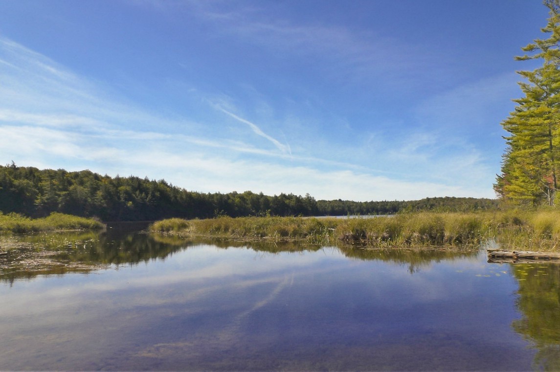 So much nature for the exploring at Fish Creek State Campground.