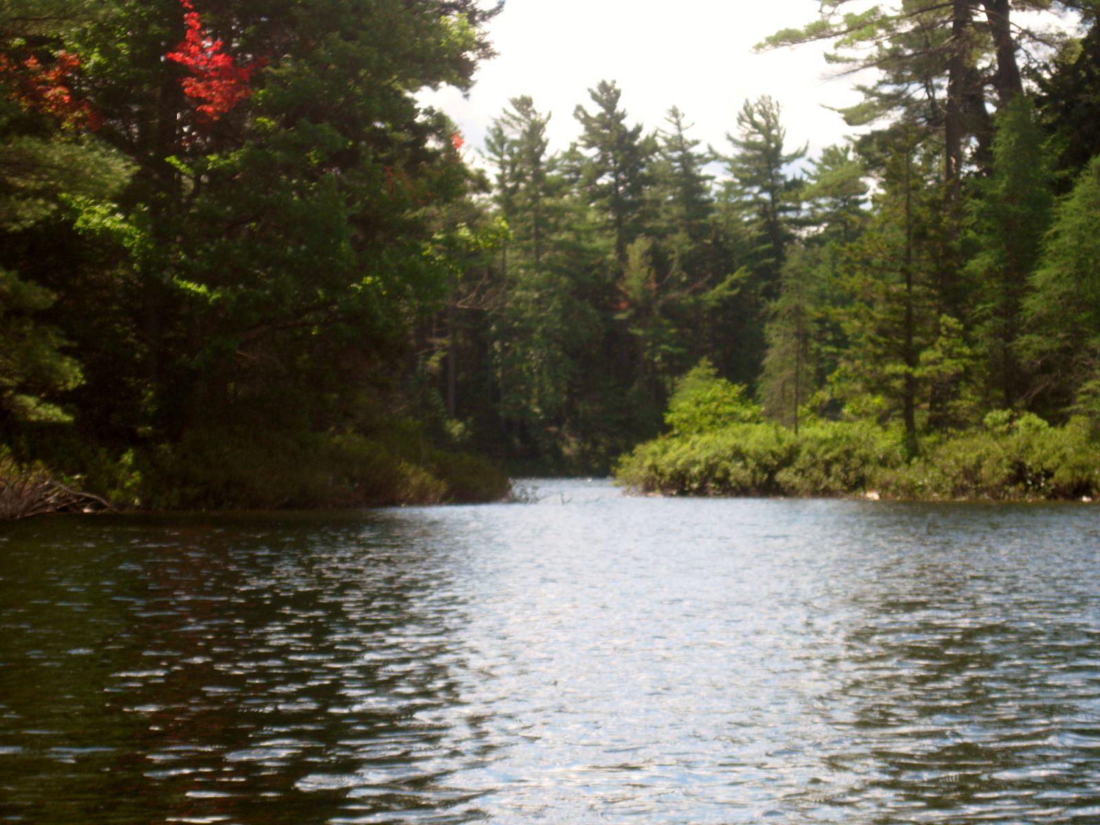Little Long Pond, my favorite on this trip!