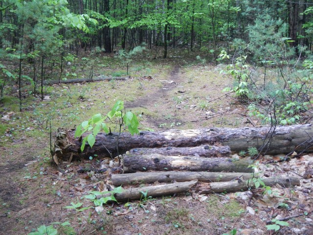 Nice trail work