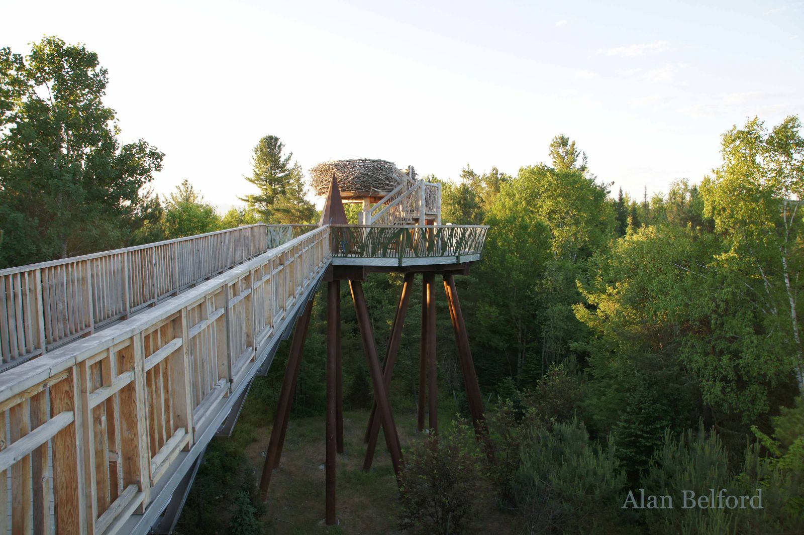 Wild Walk offers hours of exploration and fun for the family.