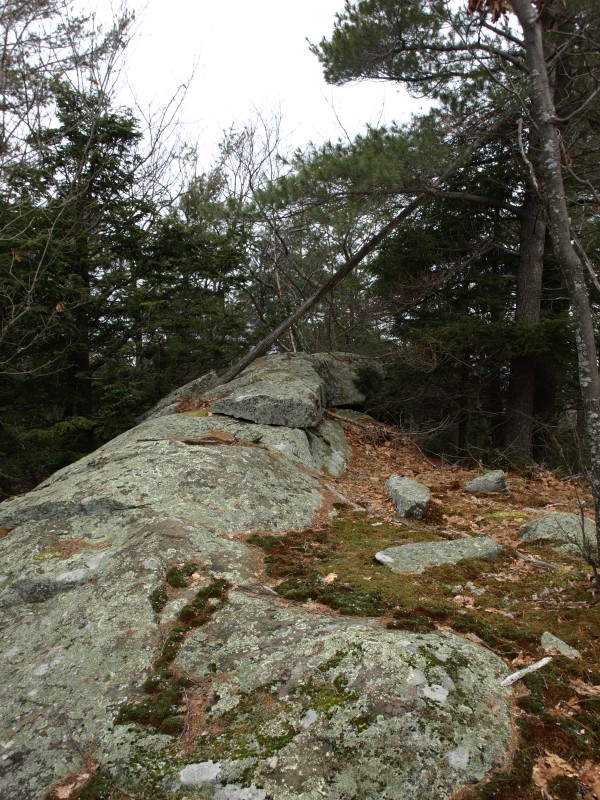 Overlook