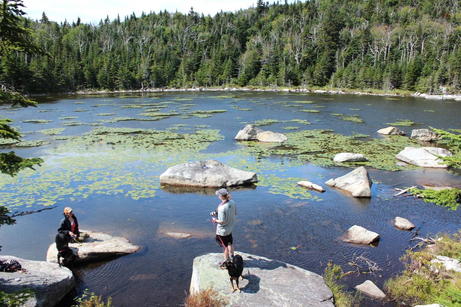 Two hikers and their dogs rest on the rocky shore of Cooper Kiln Pond.