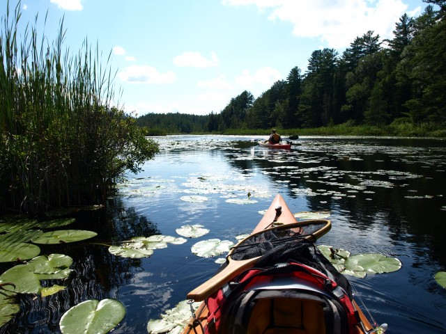 Jones Pond Jones Pond