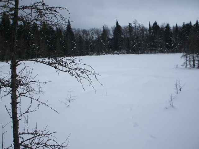 Bone Pond Bone Pond