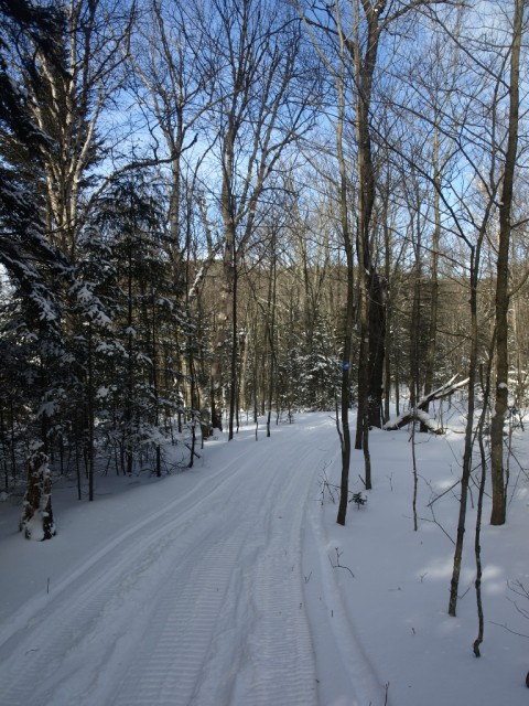 Snowmobile trail