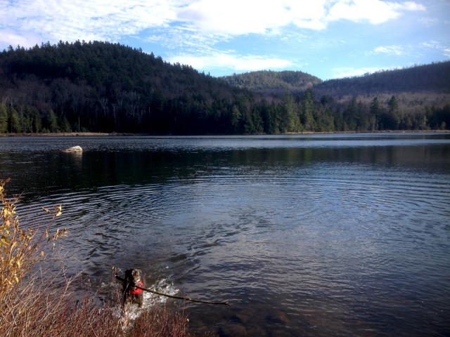 Moose Mt. Pond 