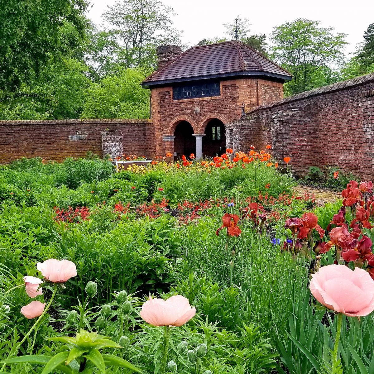 King's Garden