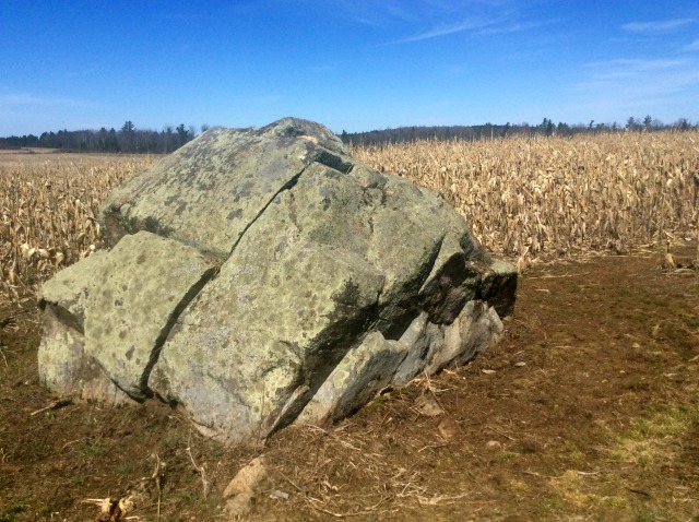 We aren't kidding about the rocks. We aren't kidding about the rocks.