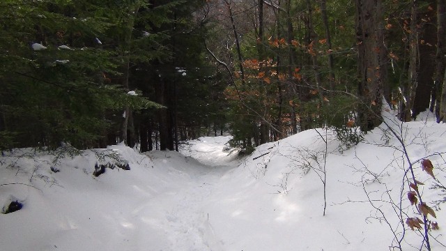 It's downhill now all the way back to the parking area.