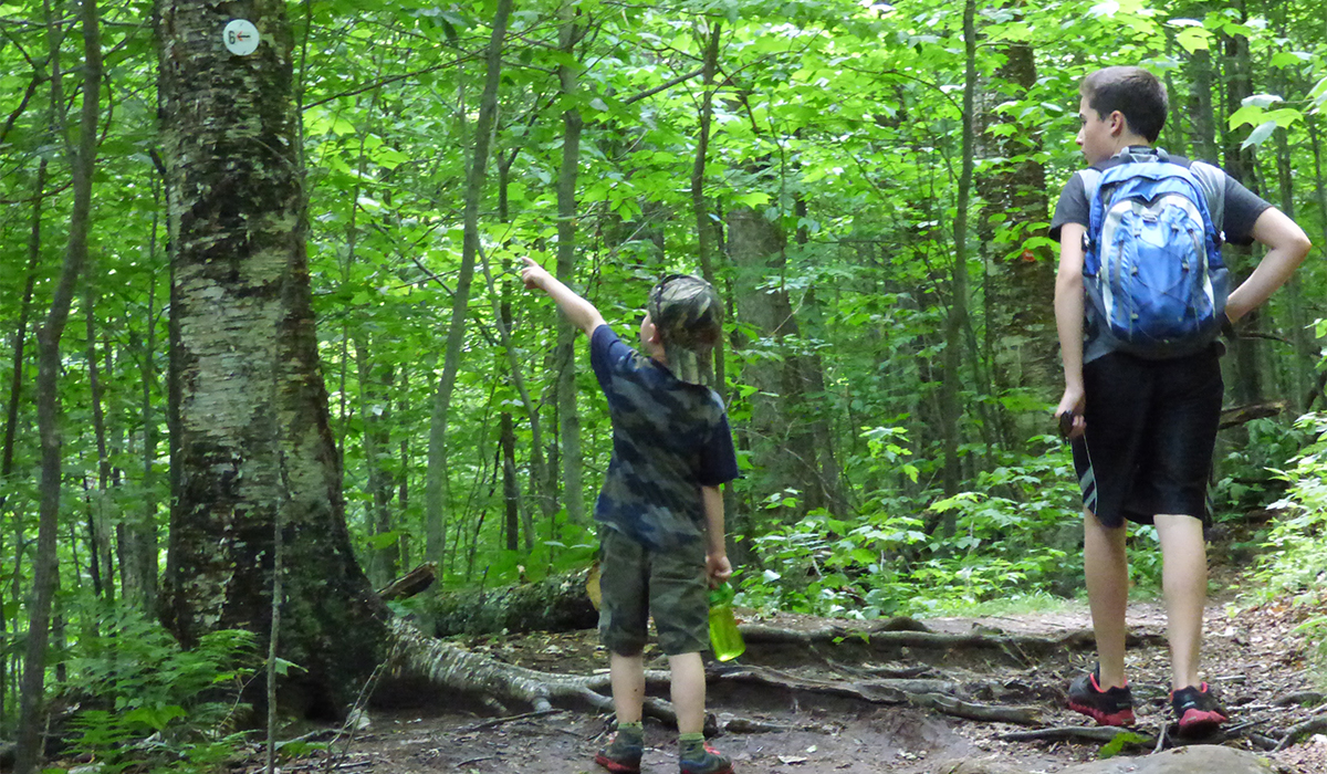 Following the interpretive guide up Mount Arab