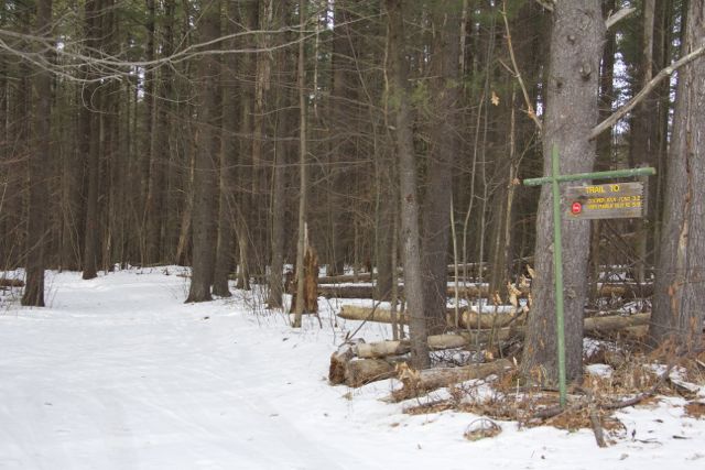 Bonnieview Rd. Trailhead