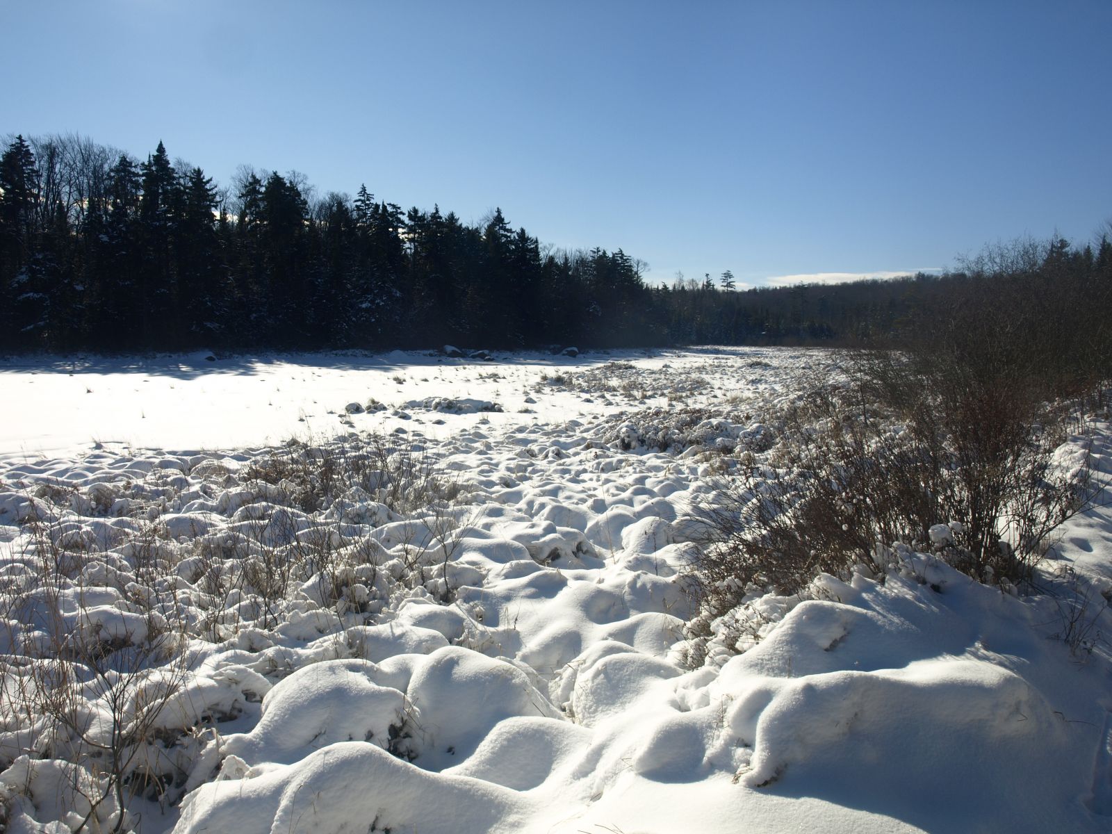 Skate Creek