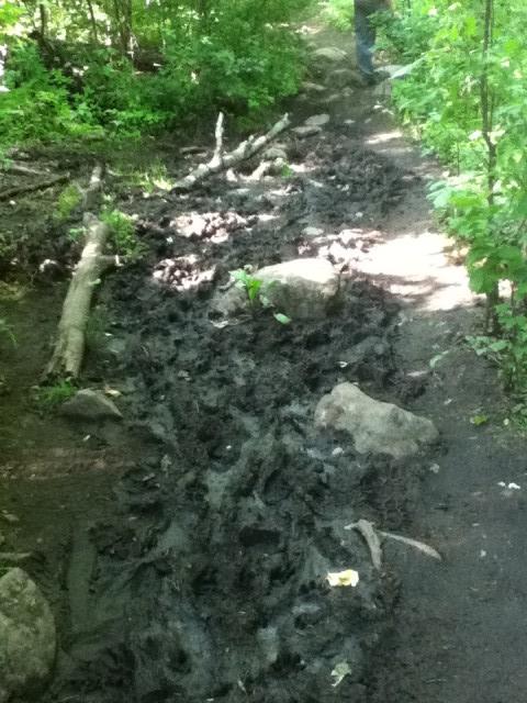 Watch out for the mud! Watch out for the mud!