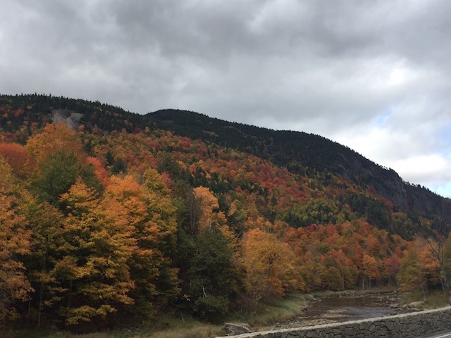 Late season color is less bright, but more pervasive.