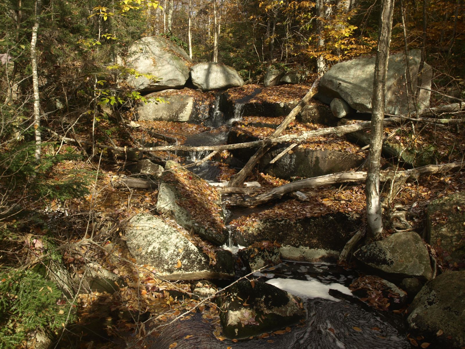The waterfall near Dog Pond