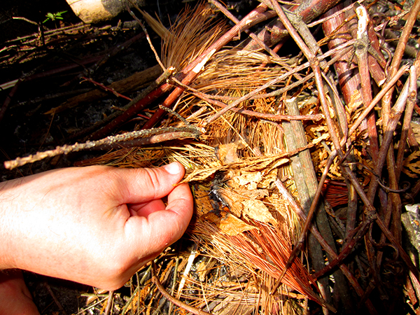 Feeding the ember
