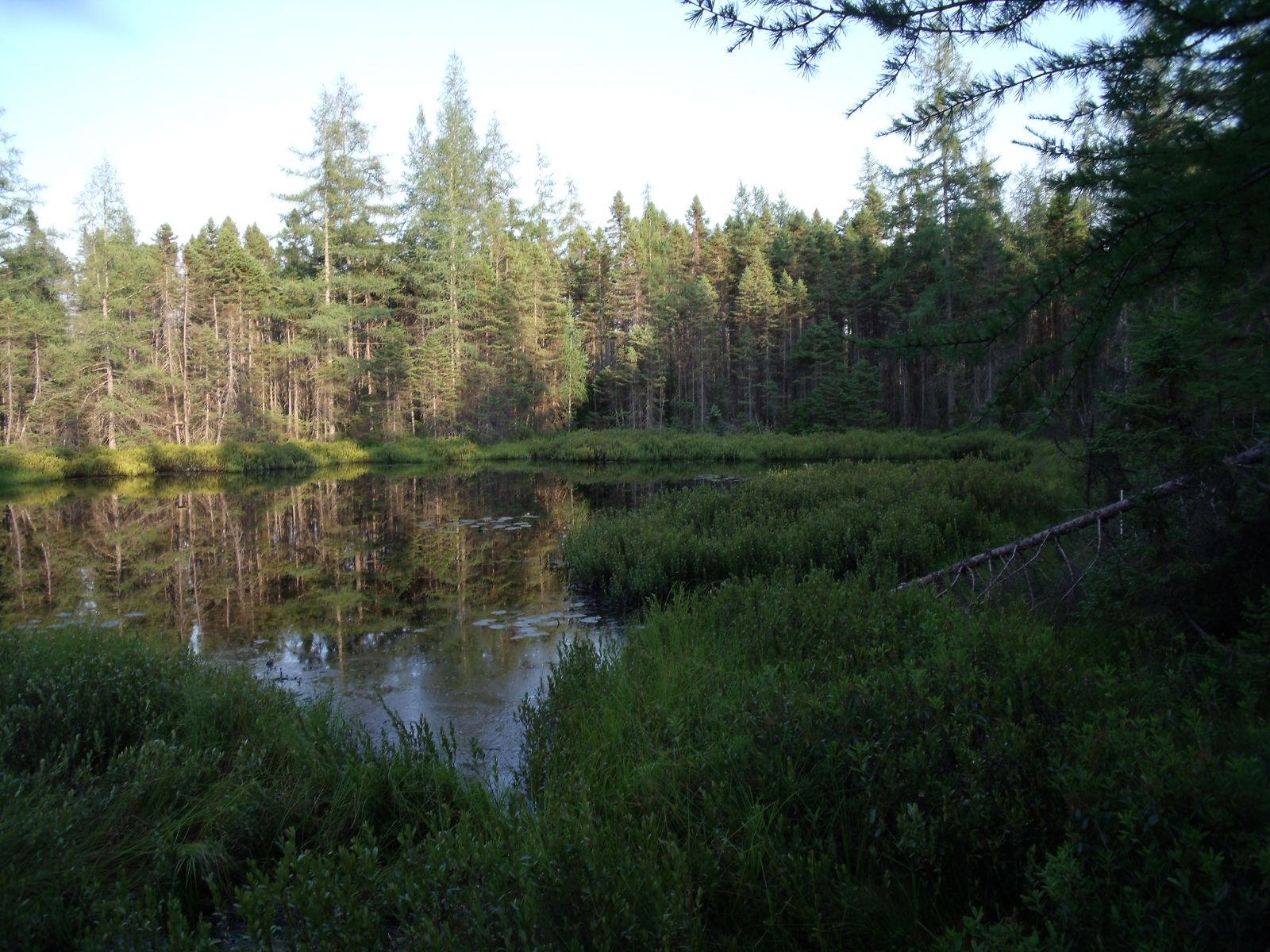 Looking out over Eskar Pond
