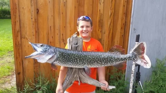 Cedar's "monster" pike, displayed.