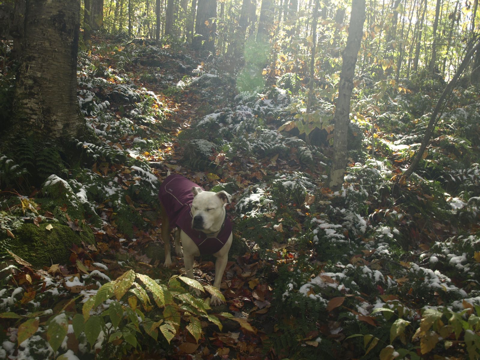 The snow stayed all day