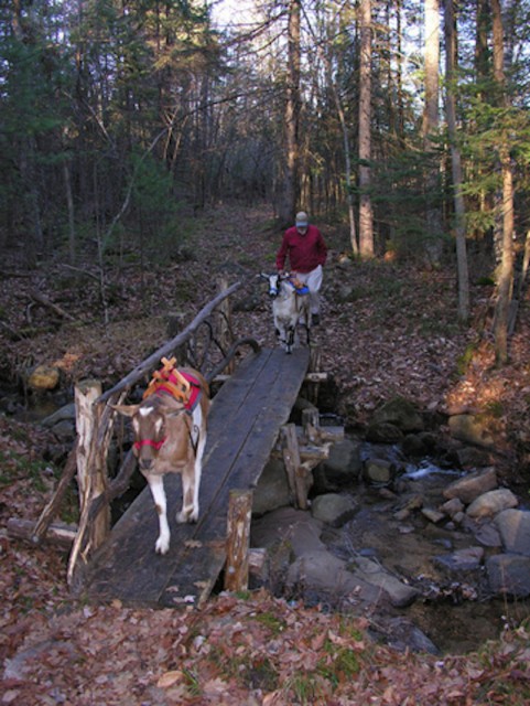 Starting with small loads and practice for what they will encounter while hiking Starting with small loads and practice for what they will encounter while hiking