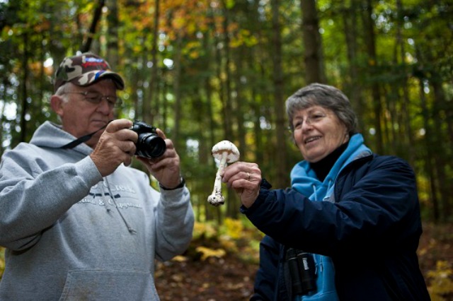 a VIC workshop demonstrates "know your mushrooms!"