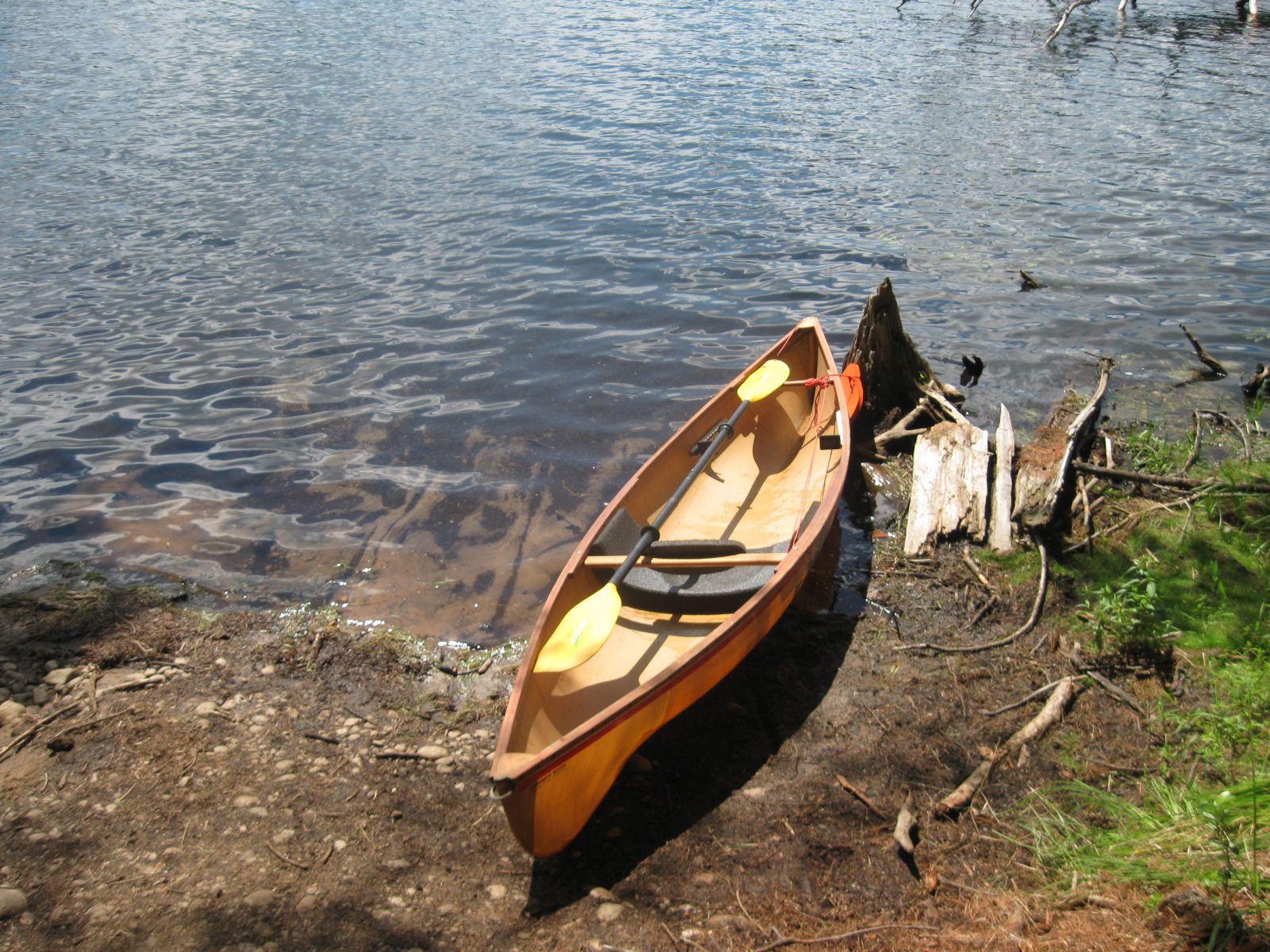 Solo canoes are great for pond hopping!