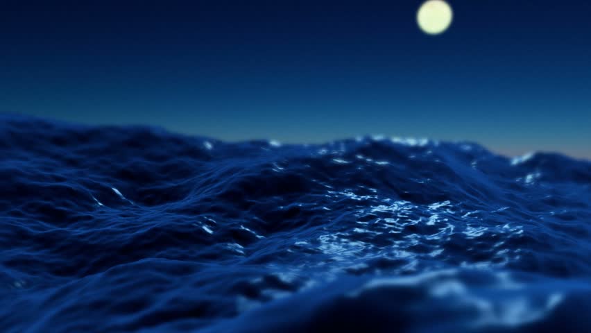 You never know what you'll find while diving by the light of the moon.