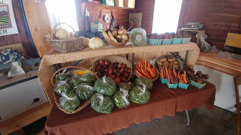 Winter market offerings.