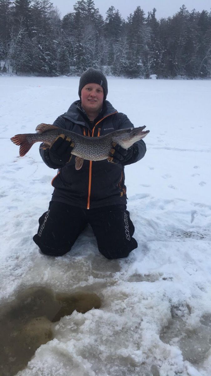 The Northern Pike.