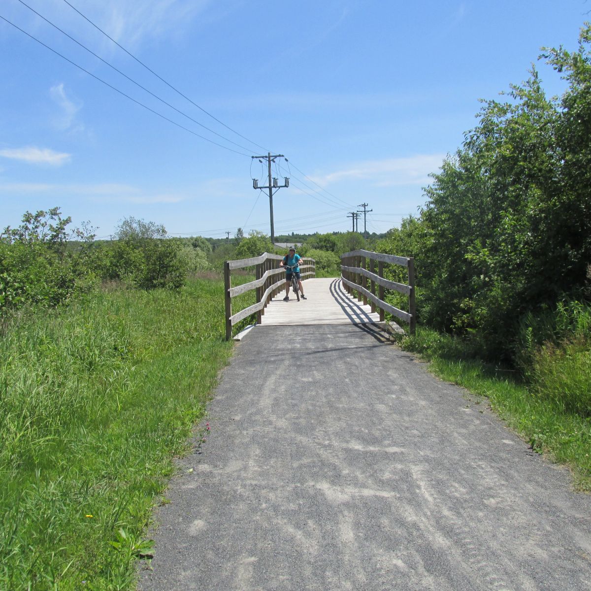 Deb on a Junction Pass bridge.