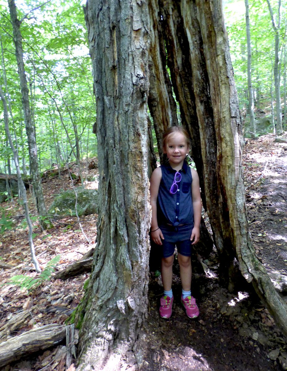 Our family's half way trail marker... the hollowed our tree that is calling their name to stand inside.