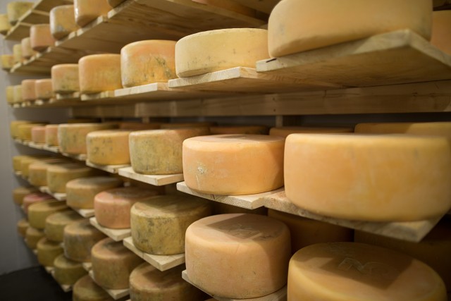This is the cheese cave they dug to age the wheels. Photo credit - Lisa Godfrey