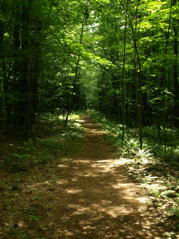 Split Rock