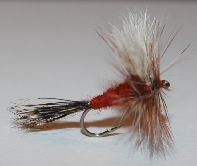 Ausable Wulff