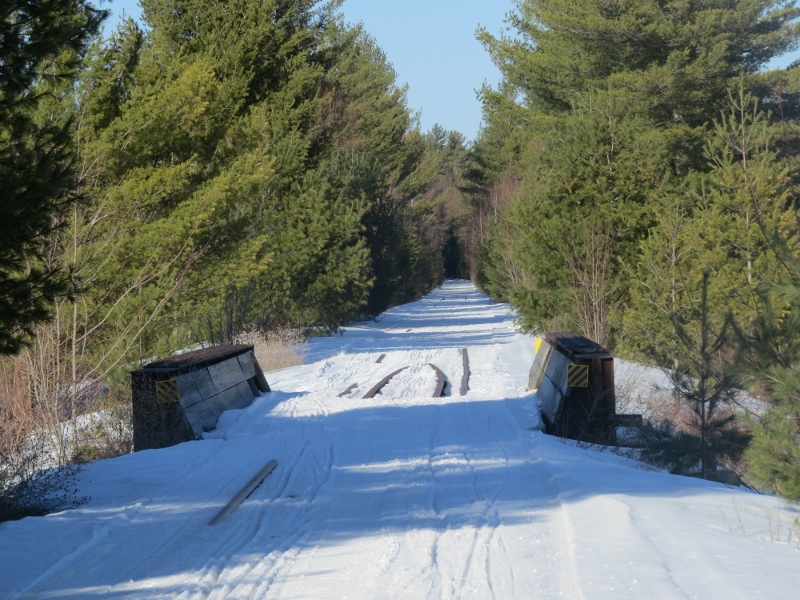 Trestle bridge over the Bog River