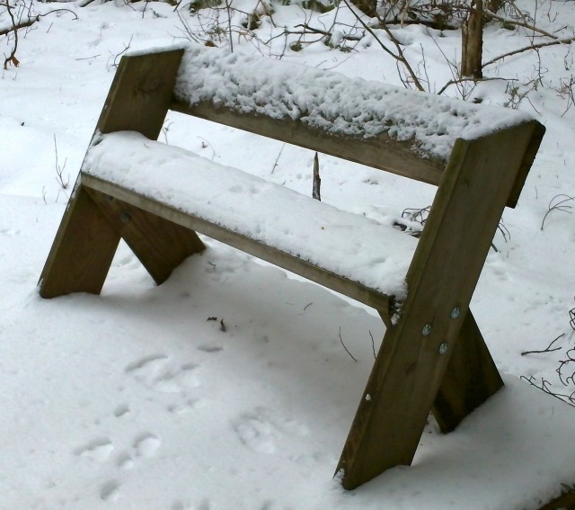 Leopold bench, in natural habitat Leopold bench, in natural habitat