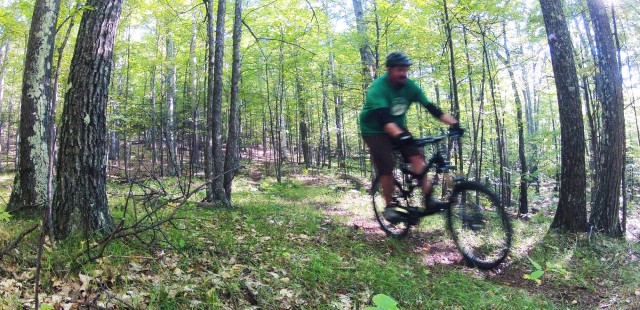 Wheeeeeeeeee!
