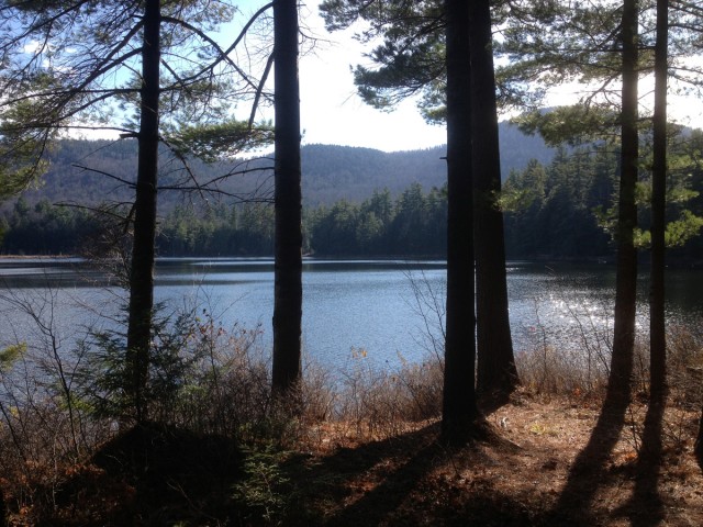 Moose Mt. Pond