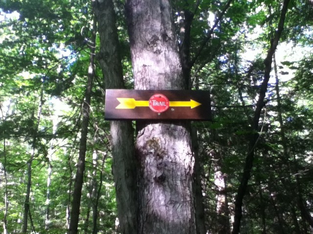 Trail marker Trail marker